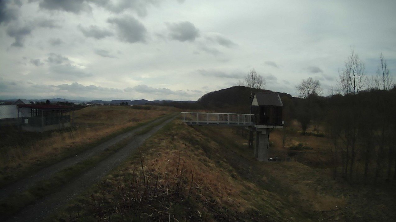 美瑛川11.4KP右岸ライブカメラ(北海道旭川市西神楽１線)