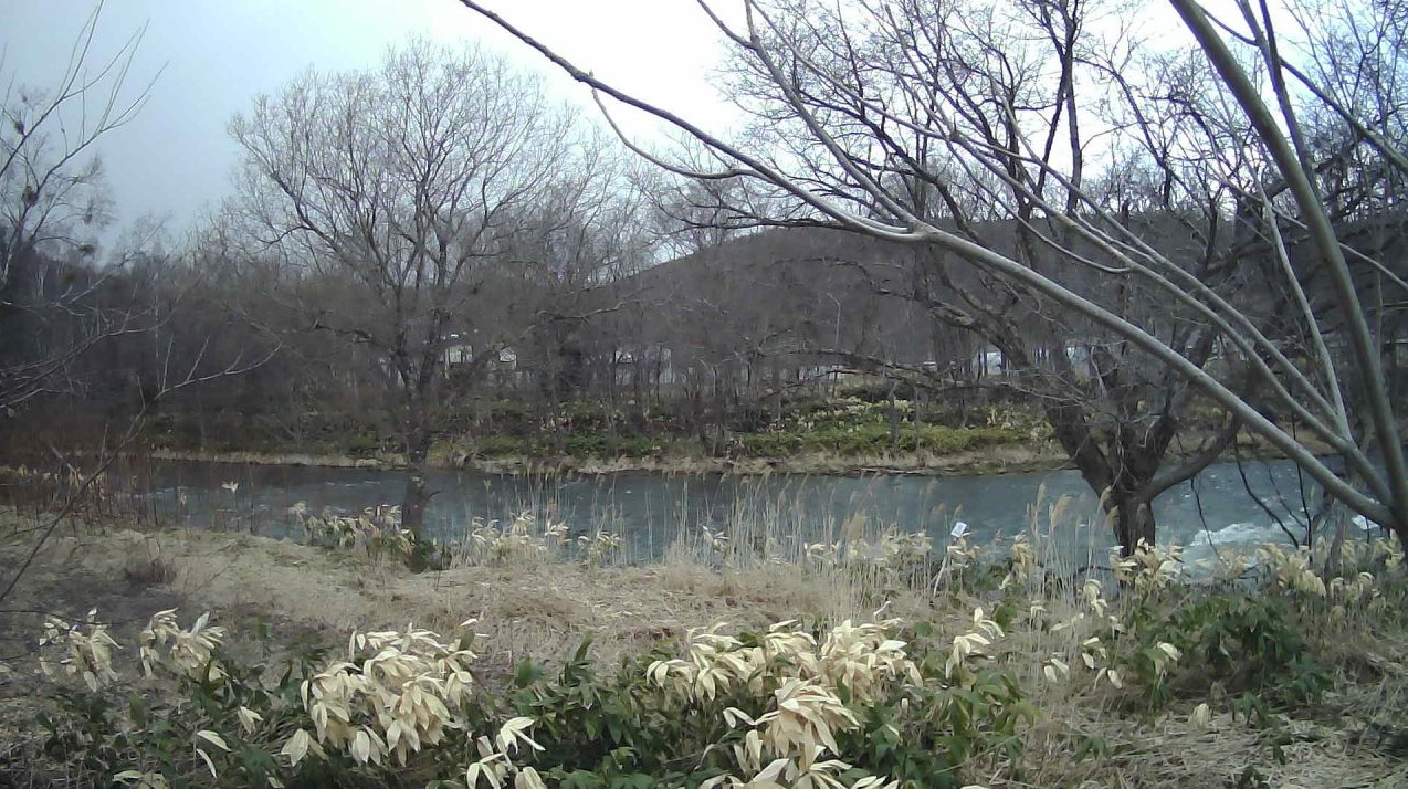 美瑛川17.0KP右岸ライブカメラ(北海道美瑛町旭)