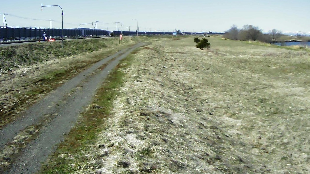 石狩川100.5KP右岸ライブカメラ(北海道雨竜町フシコウリウ)