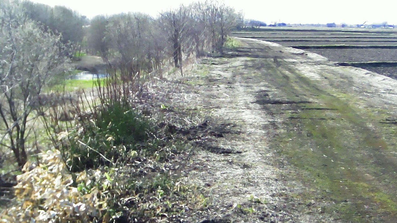 石狩川127.0KP右岸ライブカメラ(北海道深川市一已町)