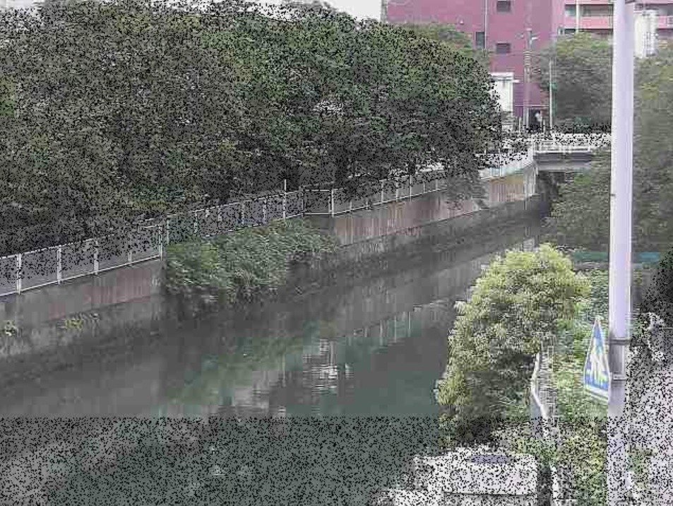 石崎川石崎橋ライブカメラ(神奈川県横浜市西区)