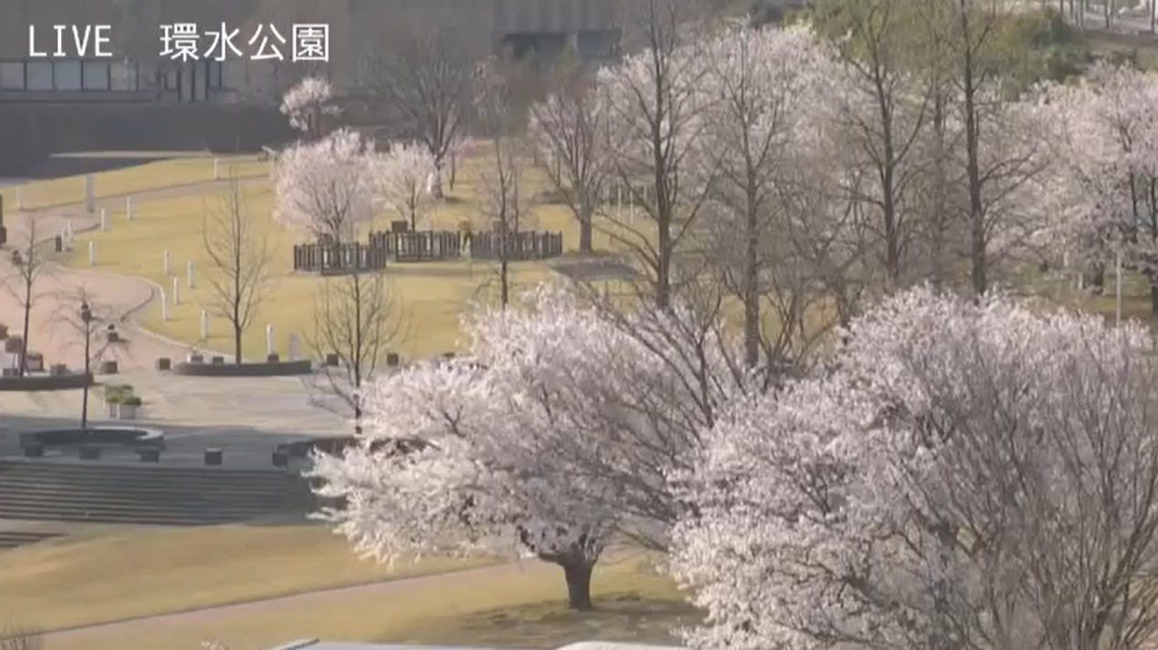 KNB富岩運河環水公園桜ライブカメラ(富山県富山市湊入船町)