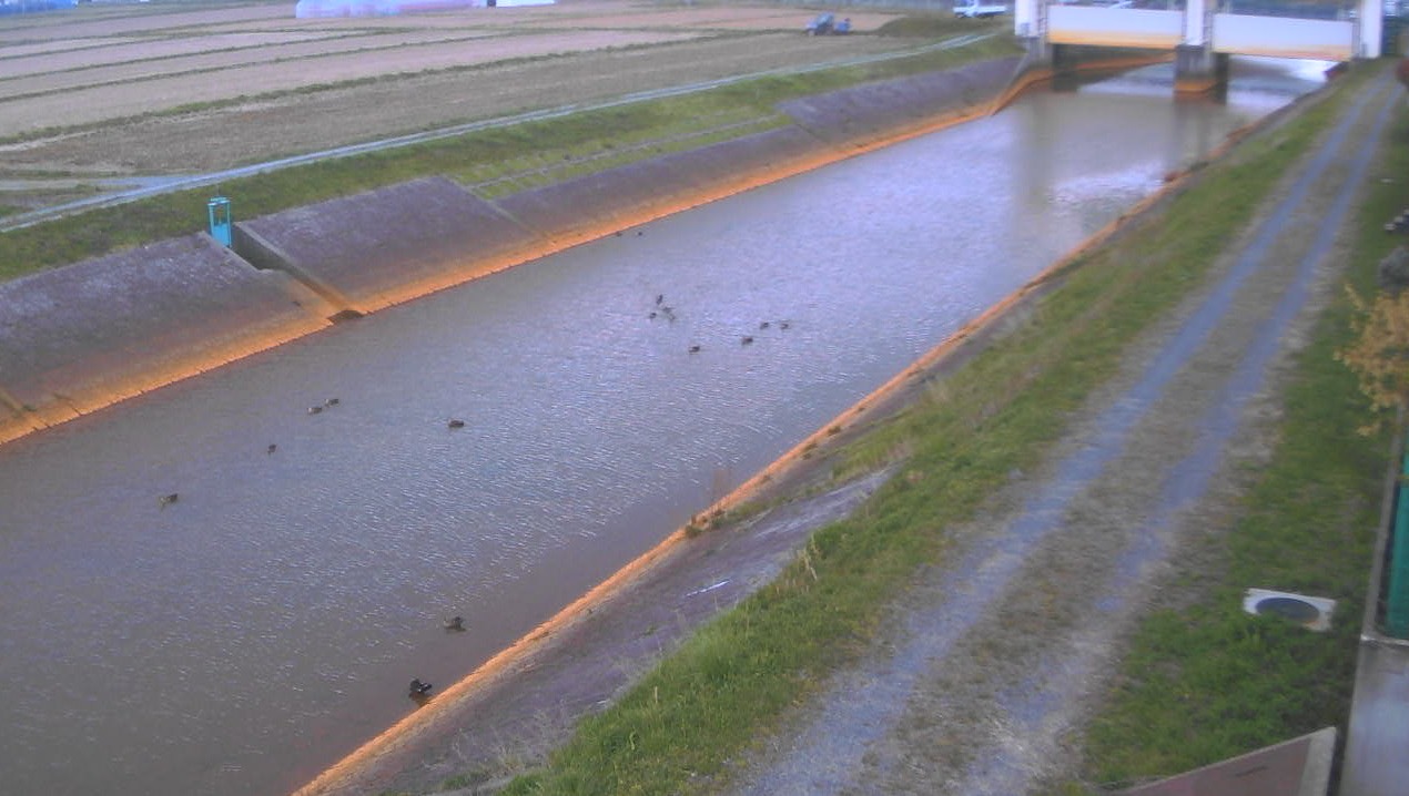 小牧川こがね橋ライブカメラ(山形県酒田市こがね町)
