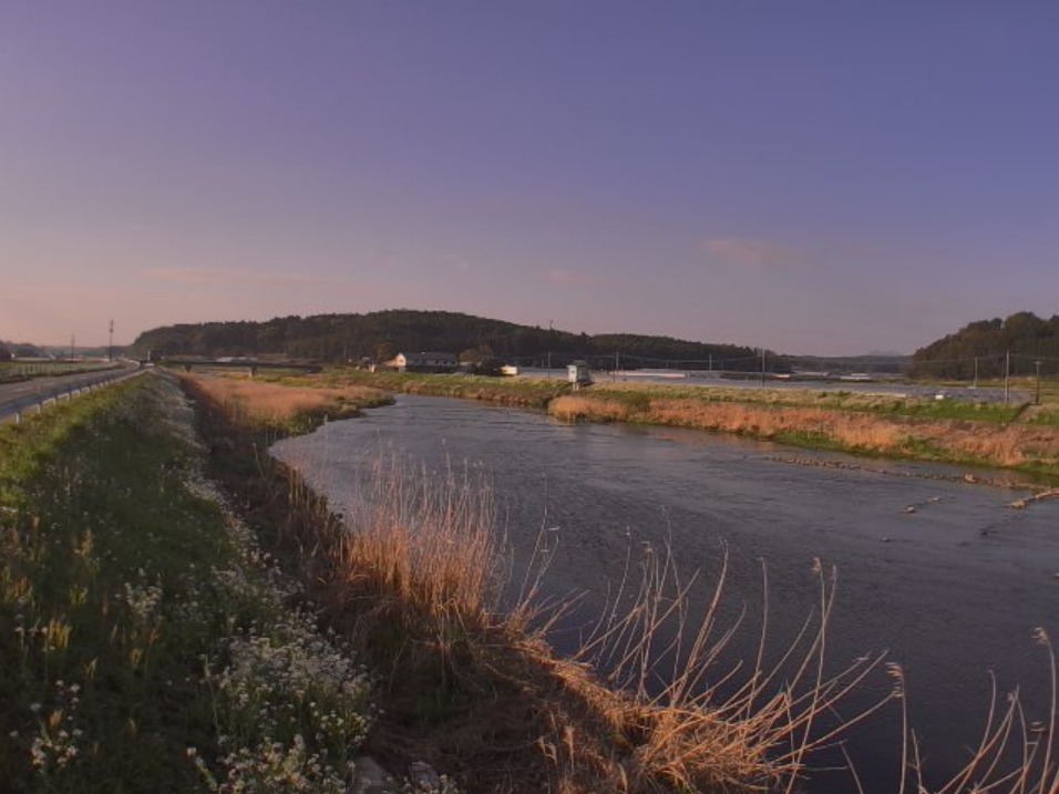 合志川舟島第2排水樋管ライブカメラ(熊本県熊本市北区)