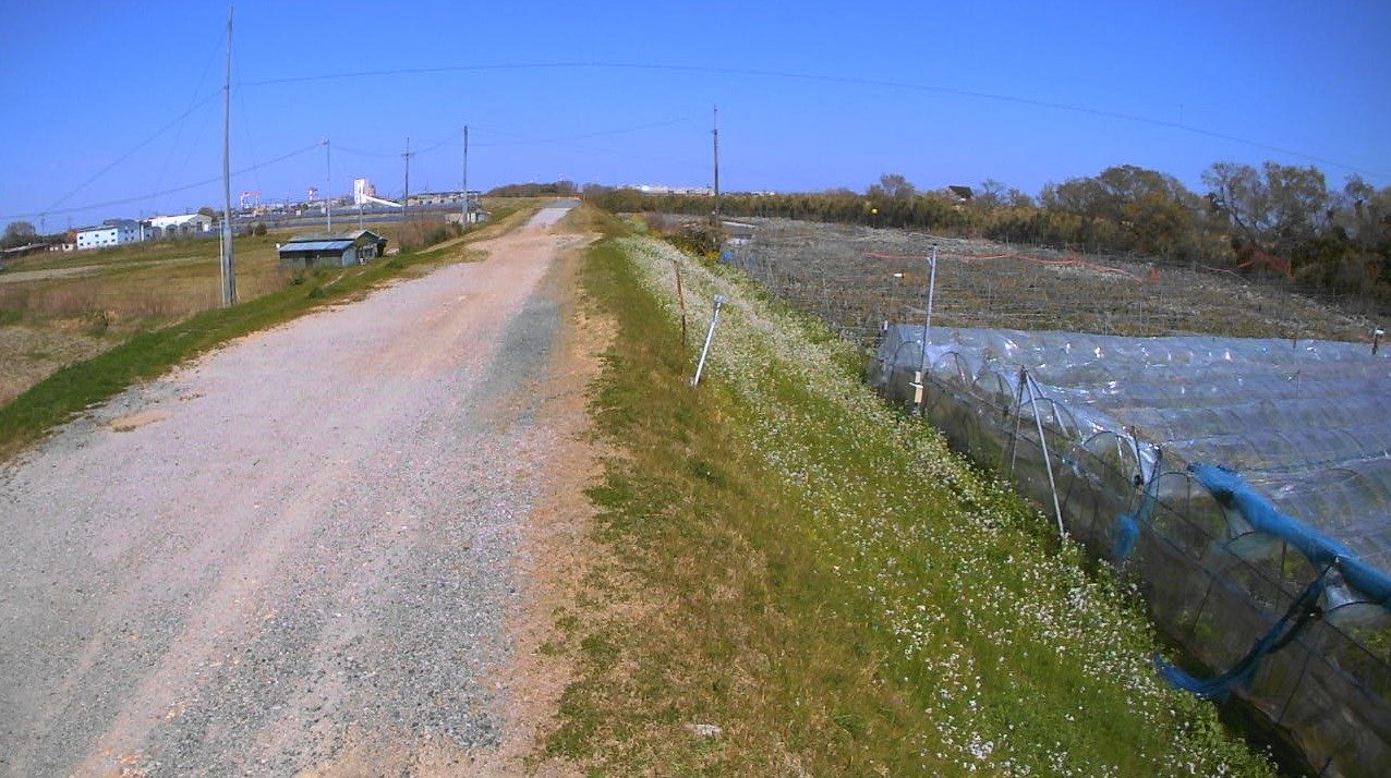 雲出古川2.4KP左岸ライブカメラ(三重県津市雲出伊倉津町)