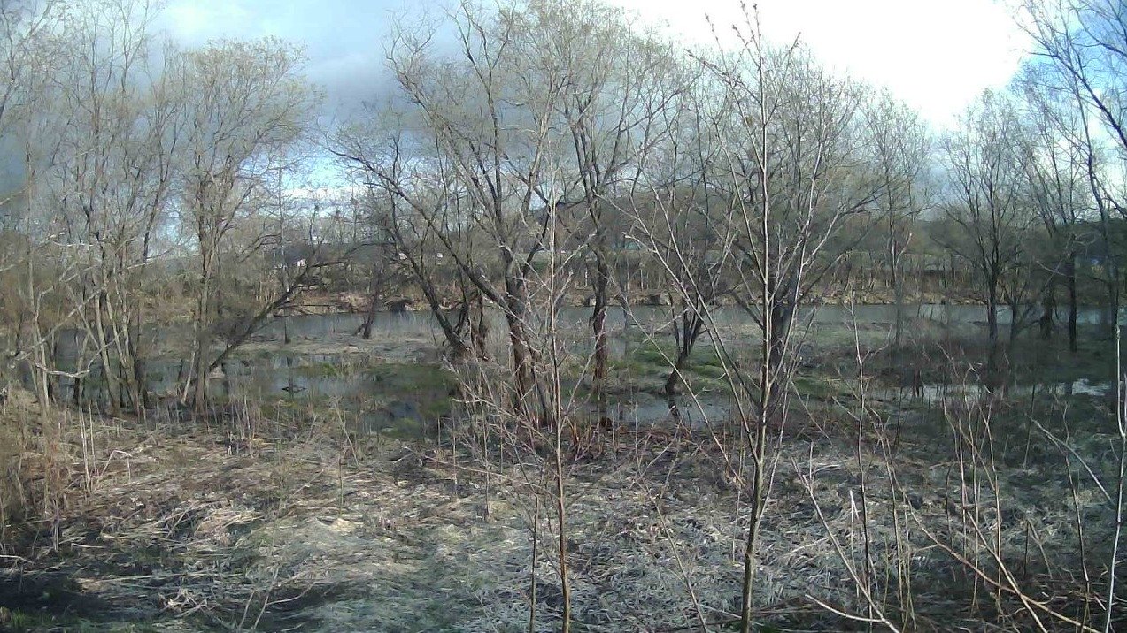 名寄川17.2KP右岸堤外ライブカメラ(北海道下川町上名寄)