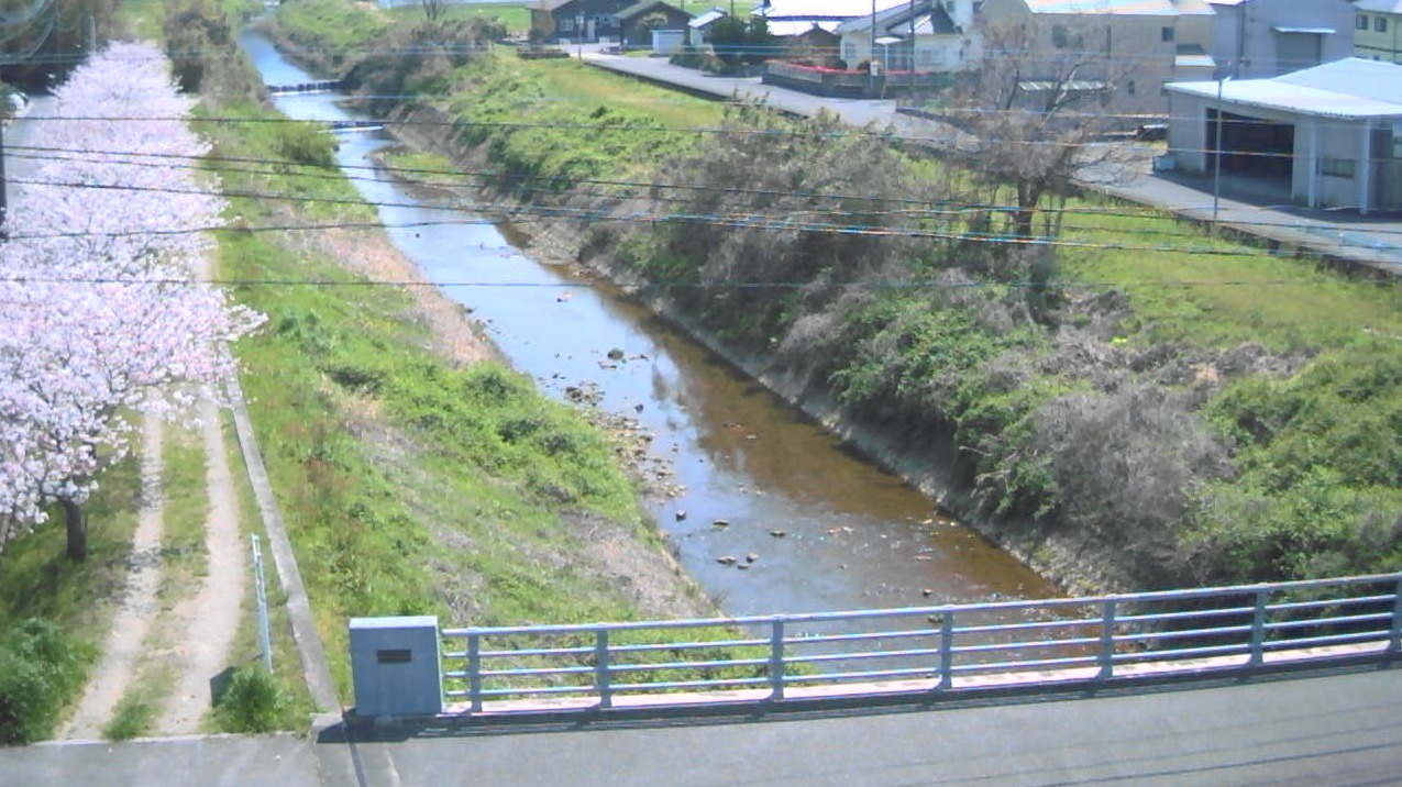 尾田川宮崎橋ライブカメラ(大分県大分市坂ノ市西)