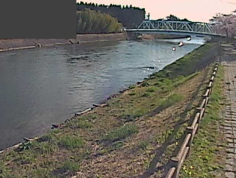 奥入瀬川中掫ライブカメラ(青森県十和田市三本木)