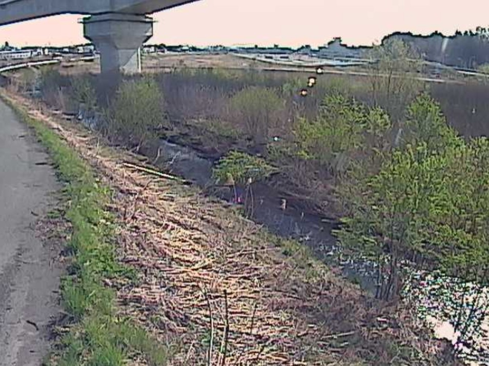 沖館川遊水地外水位ライブカメラ(青森県青森市三内)