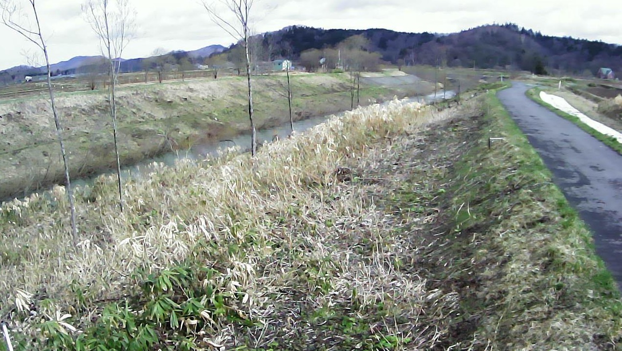 留萌川15.6KP右岸ライブカメラ(北海道留萌市留萌村)