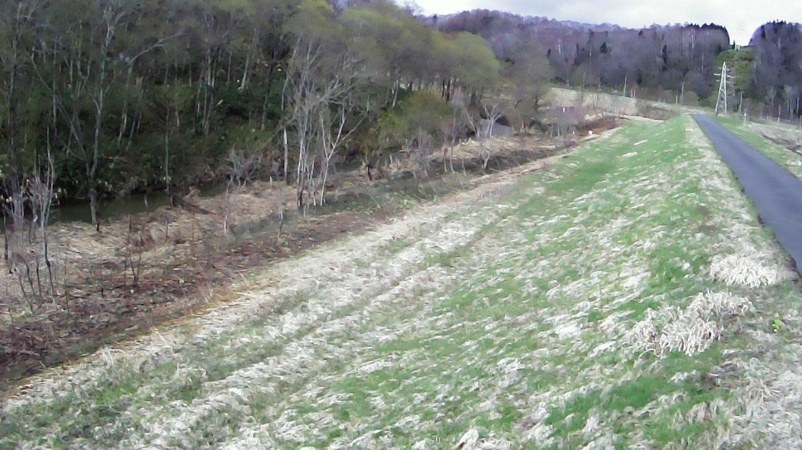 留萌川22.6KP右岸ライブカメラ(北海道留萌市留萌村)