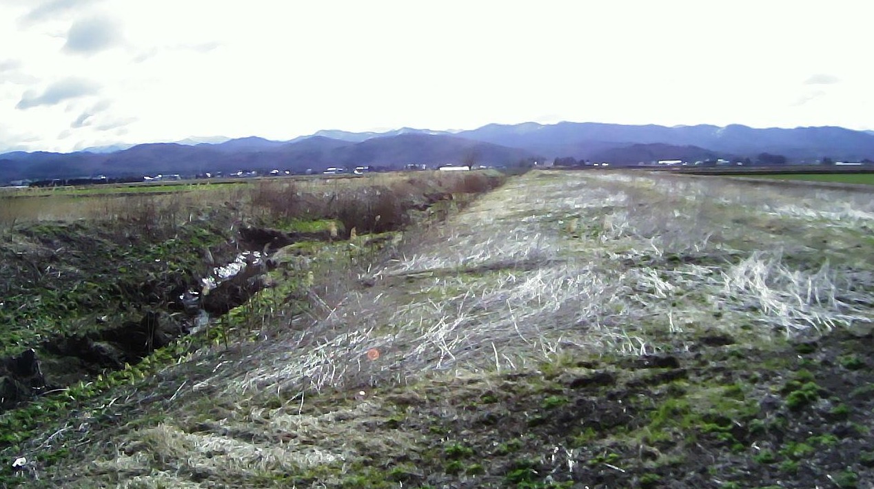 産化美唄川10.0KP左岸ライブカメラ(北海道美唄市沼の内町北)