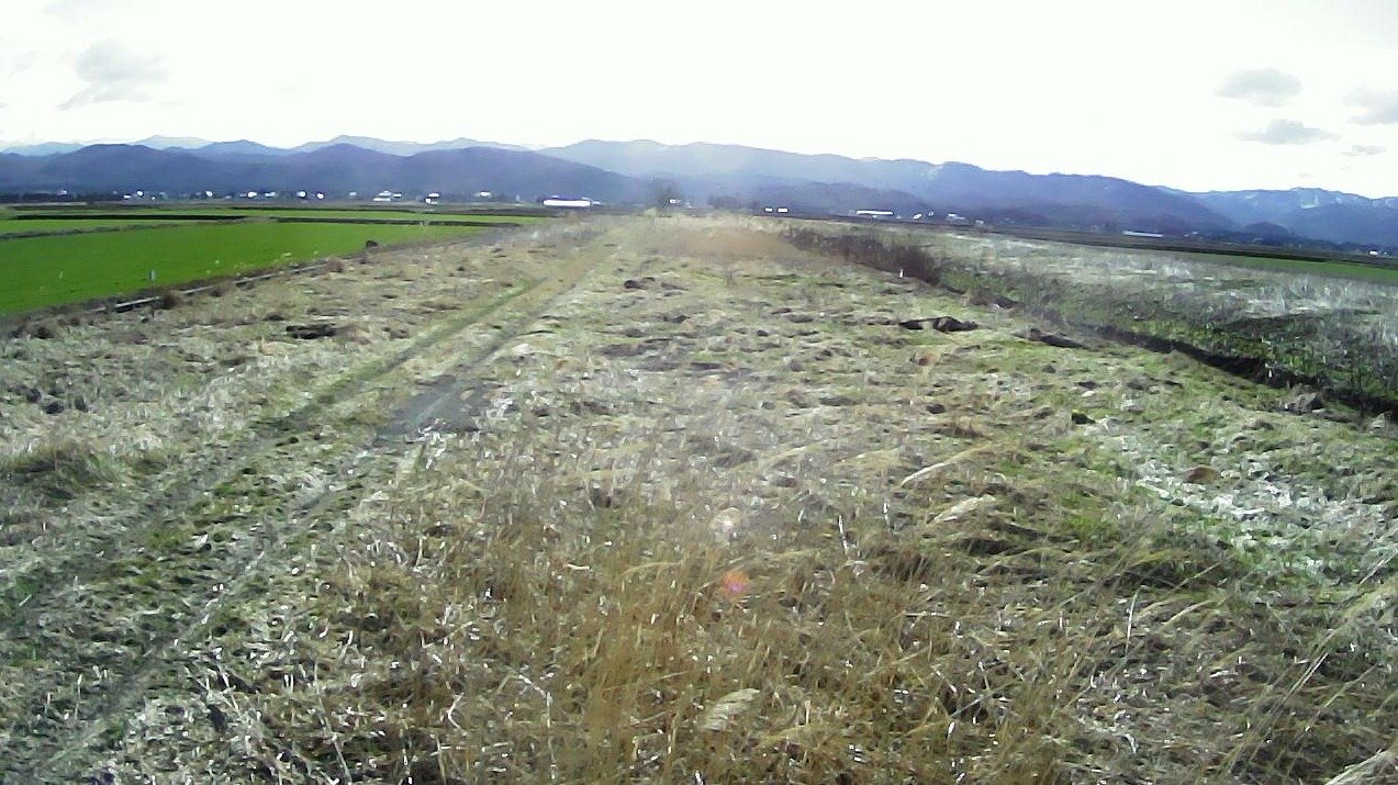 産化美唄川9.97KP右岸ライブカメラ(北海道美唄市チャシュナイ)