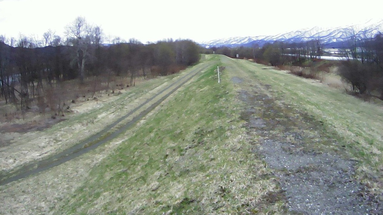 空知川75.4KP左岸ライブカメラ(北海道富良野市上五区)