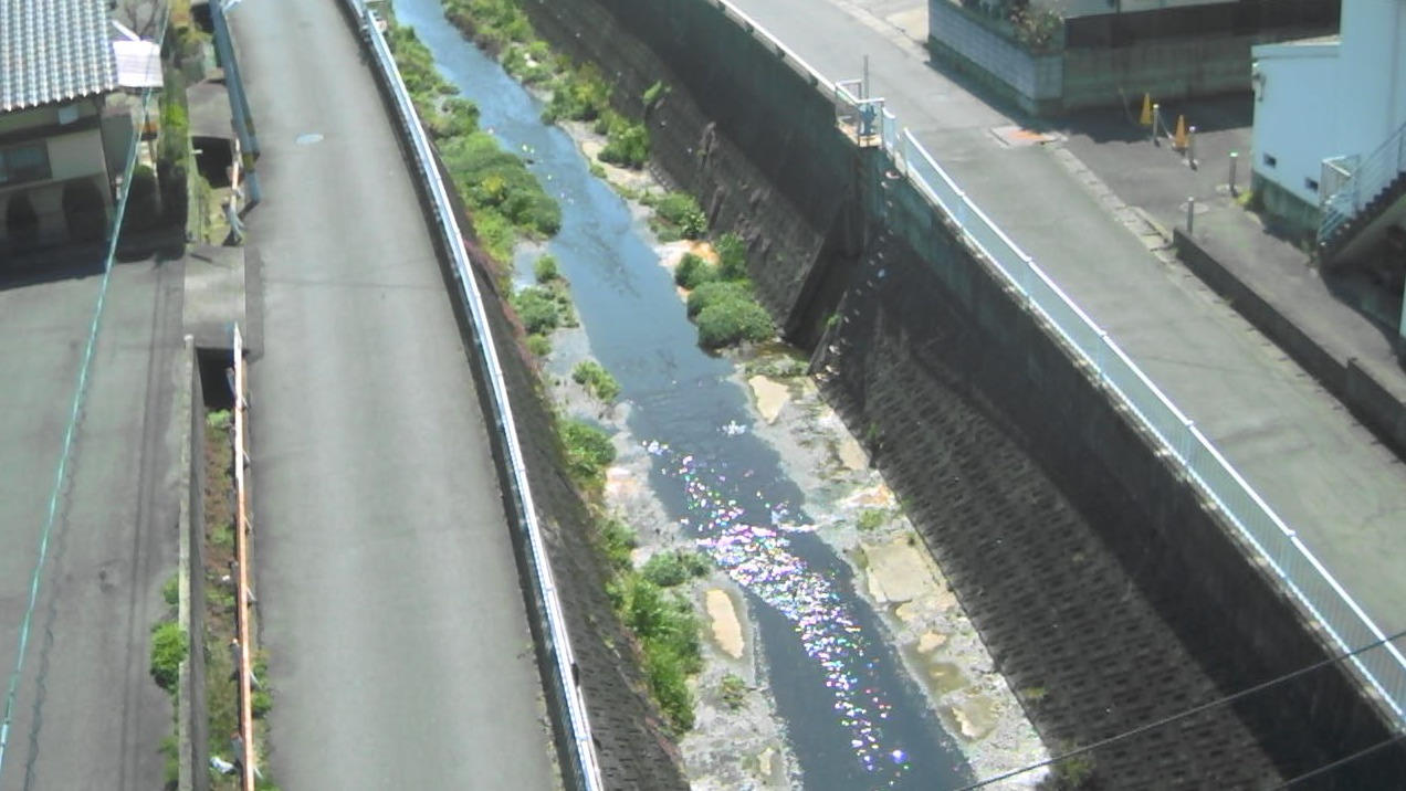 住吉川西田室橋ライブカメラ(大分県大分市中春日町)
