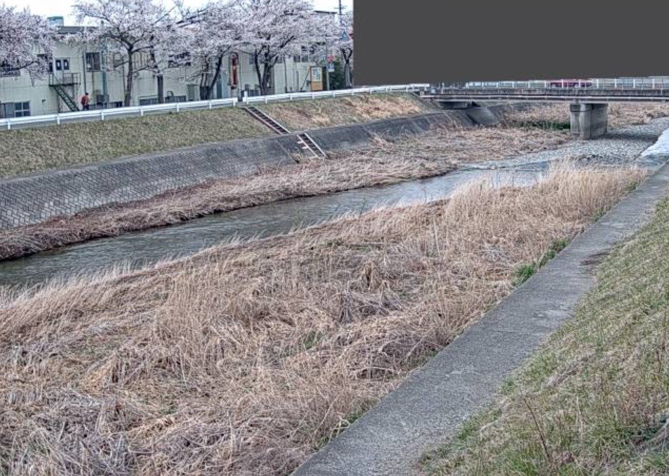 薄川薄川水位観測局ライブカメラ(長野県松本市筑摩)
