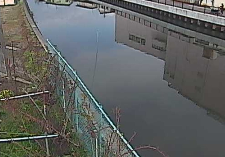 田名部川田名部ライブカメラ(青森県むつ市新町)