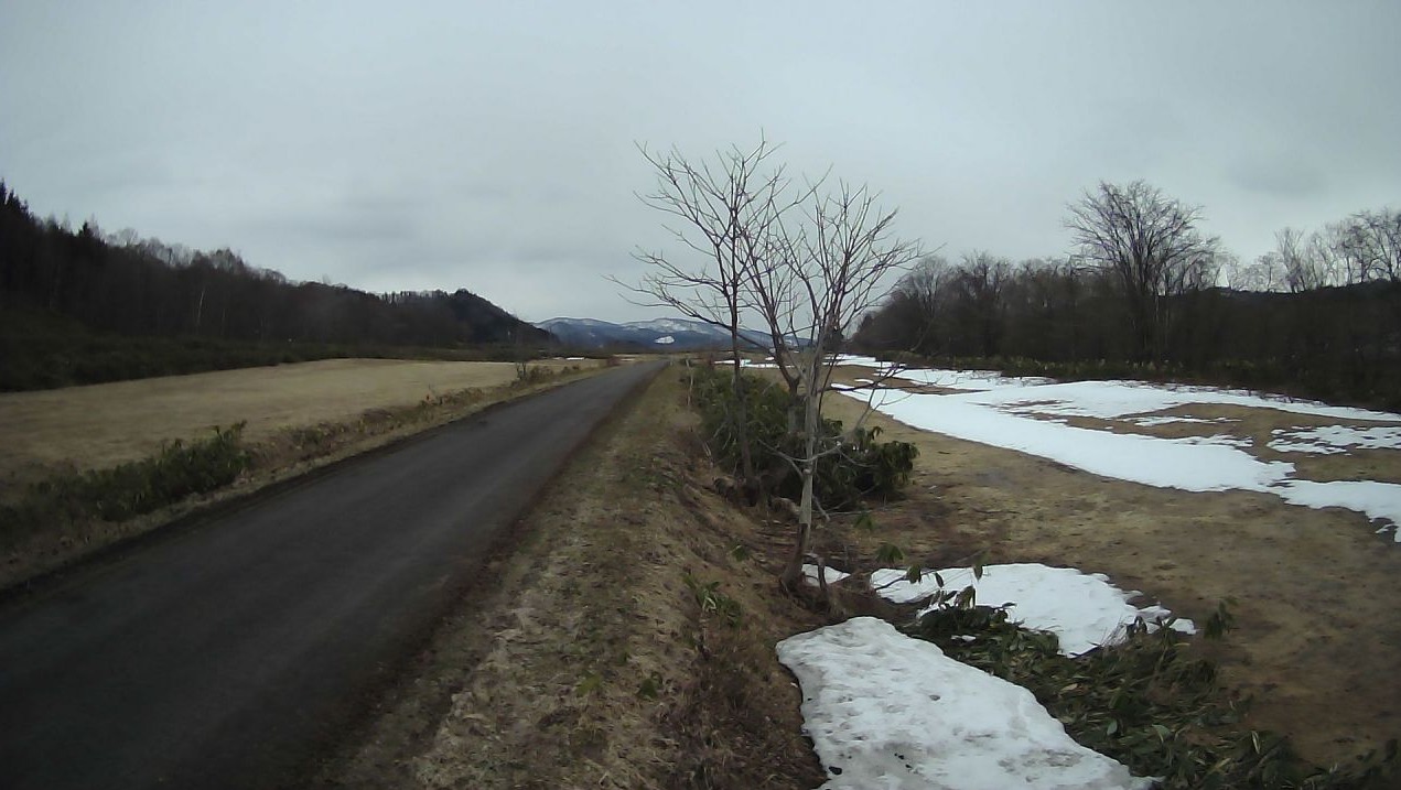 天塩川103.4KP右岸ライブカメラ(北海道美深町楠)
