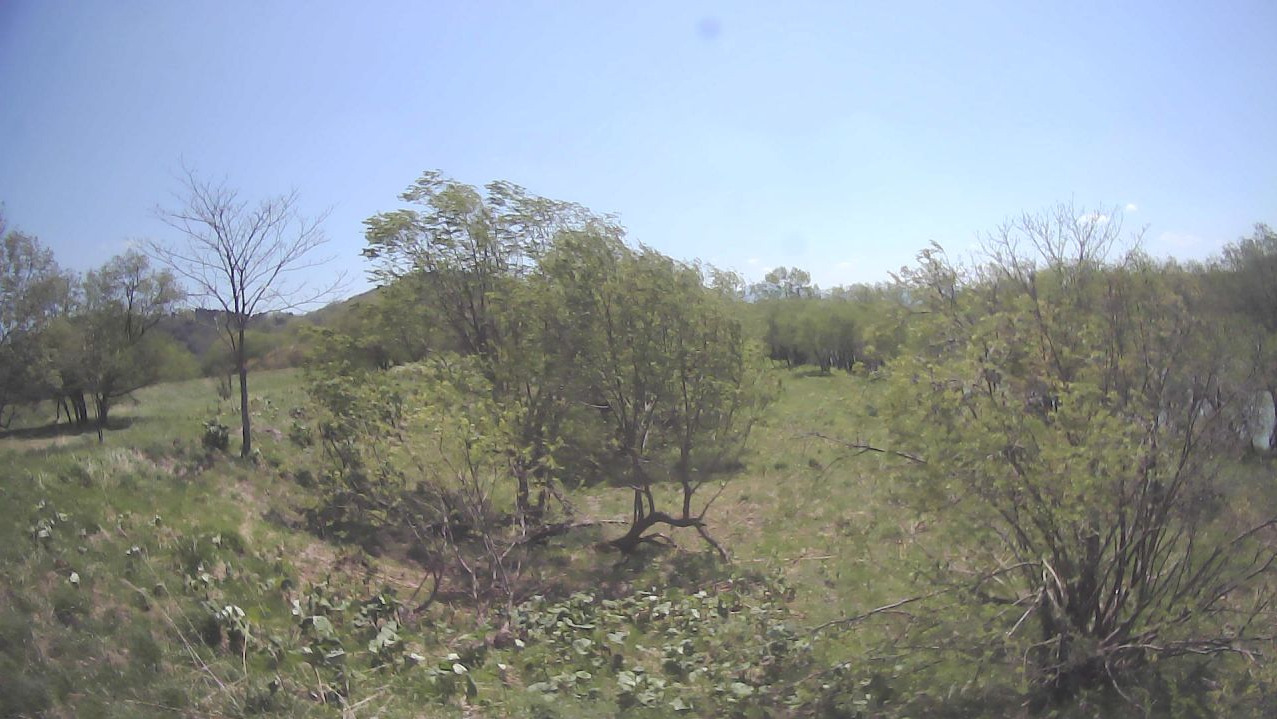 天塩川47.0KP右岸ライブカメラ(北海道天塩町下コクネップ)