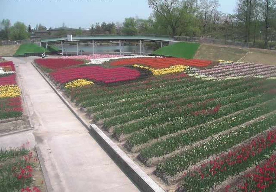 砺波チューリップ公園時計台ライブカメラ(富山県砺波市花園町)