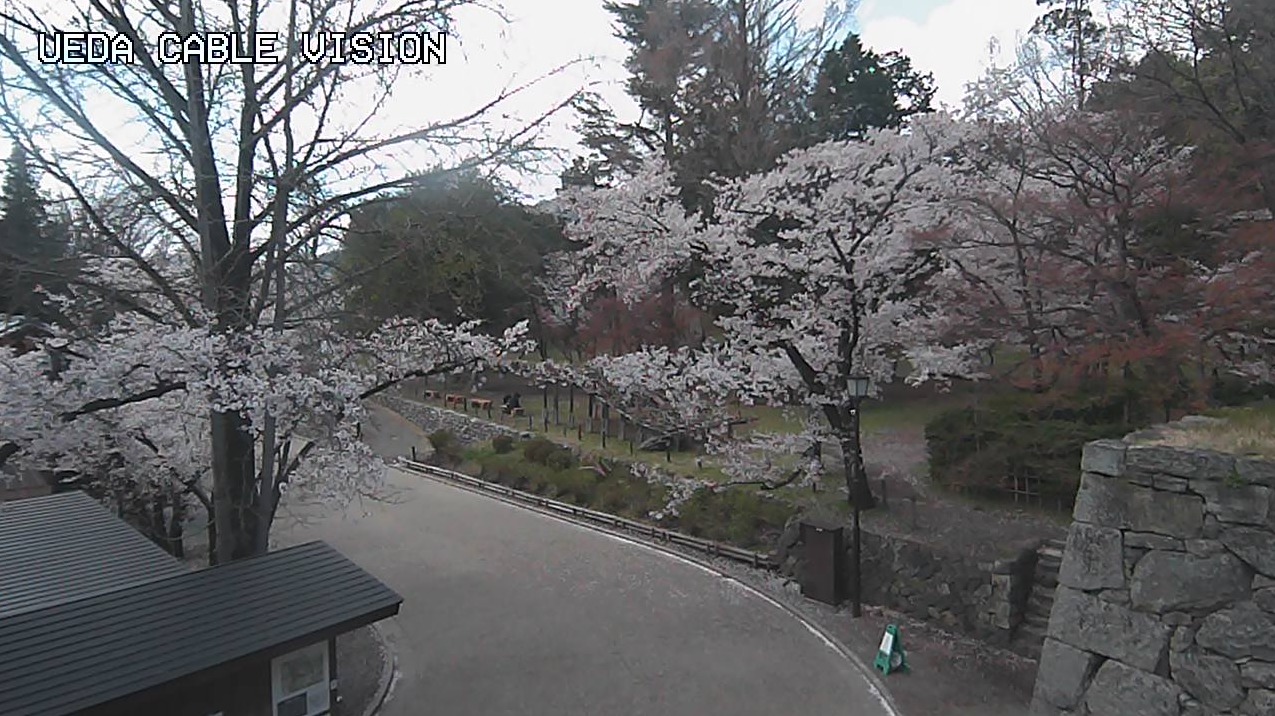 UCV上田城千本桜団子山ライブカメラ(長野県上田市二の丸)