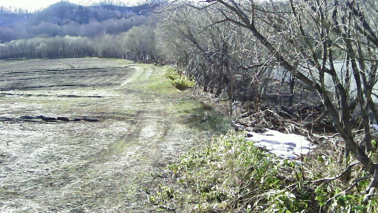 雨竜川45.2KP左岸ライブカメラ(北海道深川市幌内)