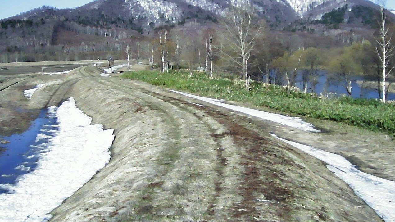 雨竜川50.8KP右岸ライブカメラ(北海道深川市鷹泊)
