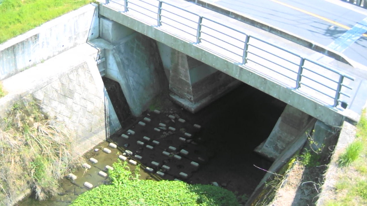 屋山川屋山橋ライブカメラ(大分県大分市屋山)