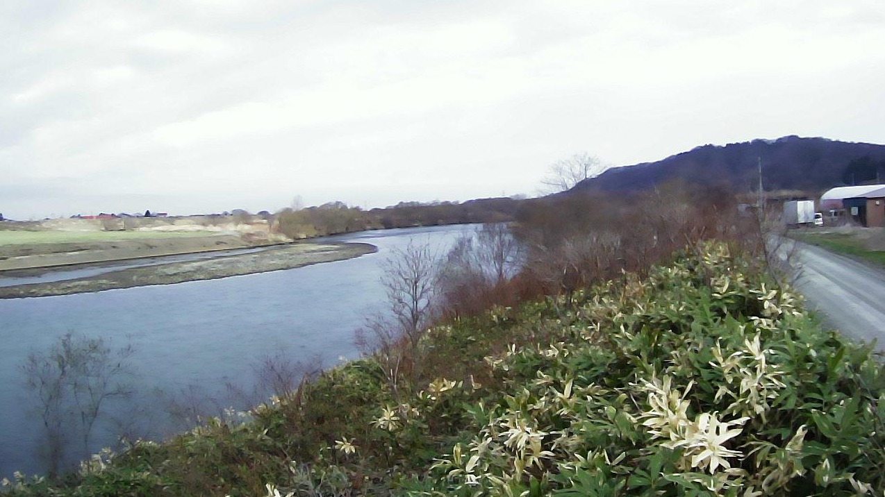 夕張川17.4KP右岸ライブカメラ(北海道栗山町錦)