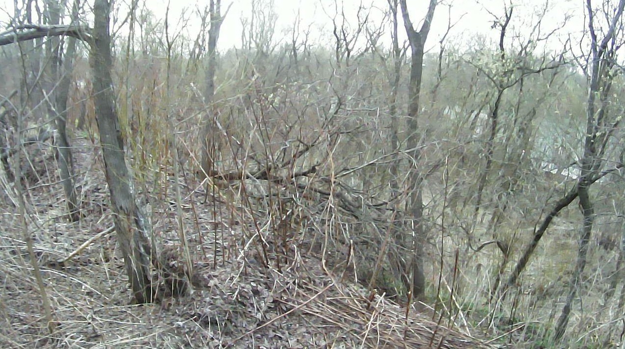 夕張川23.0KP右岸ライブカメラ(北海道栗山町三日月)