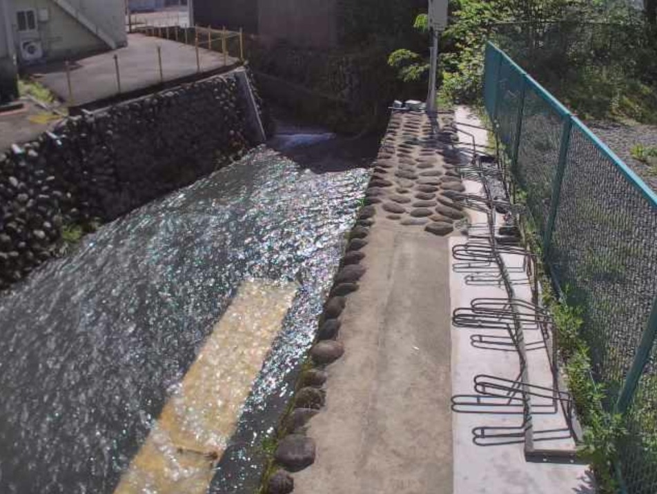 大蓮寺川元町ライブカメラ(福井県勝山市元町)