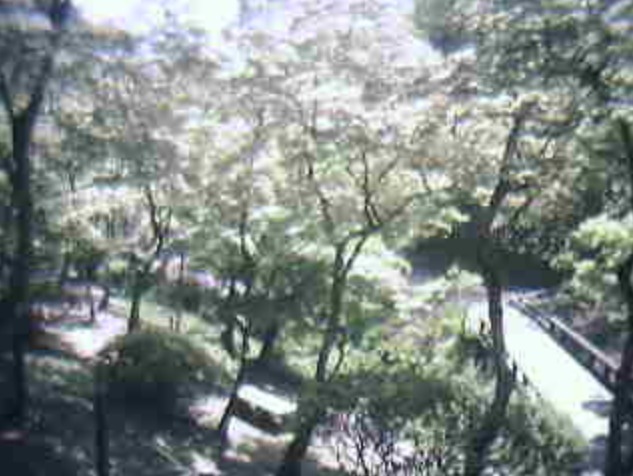 弥彦公園もみじ谷観月橋下ライブカメラ(新潟県弥彦村弥彦)