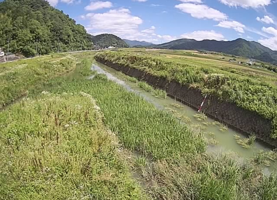 弘法川上荒河ライブカメラ(京都府福知山市上荒河)