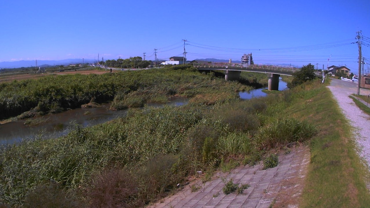 秋津川秋津ライブカメラ(熊本県熊本市東区)