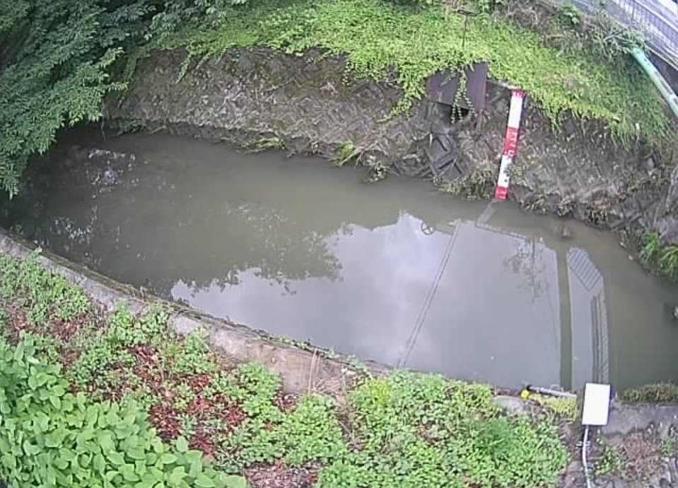 犬川新犬川橋ライブカメラ(京都府長岡京市神足)