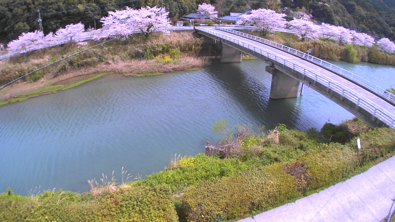 一町田川一町田水位観測所ライブカメラ(熊本県天草市河浦町河浦)