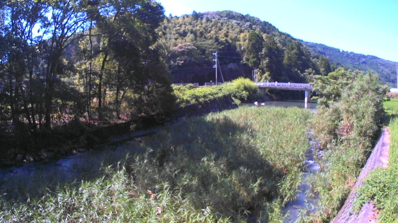 大宮地川大宮地川水位観測所ライブカメラ(熊本県天草市新和町大宮地)