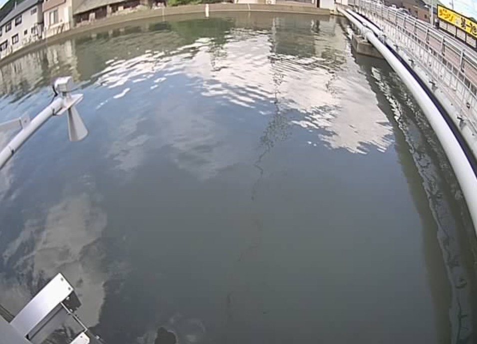 高野川新橋ライブカメラ(京都府舞鶴市竹屋)