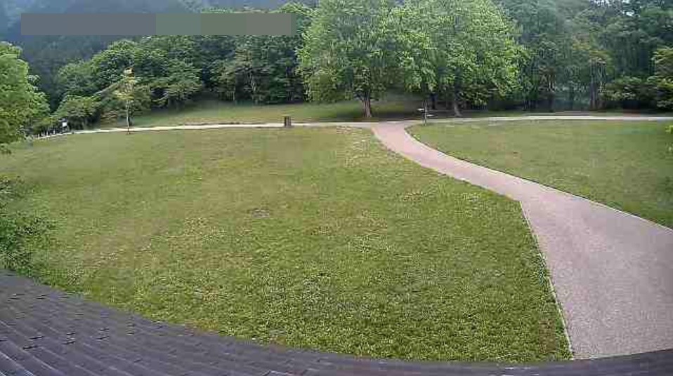 田貫湖キャンプ場Bサイトライブカメラ(静岡県富士宮市猪之頭)