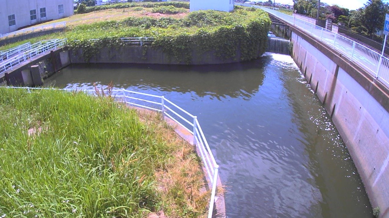鶴生田川近藤川分岐点ライブカメラ(群馬県館林市成島町)