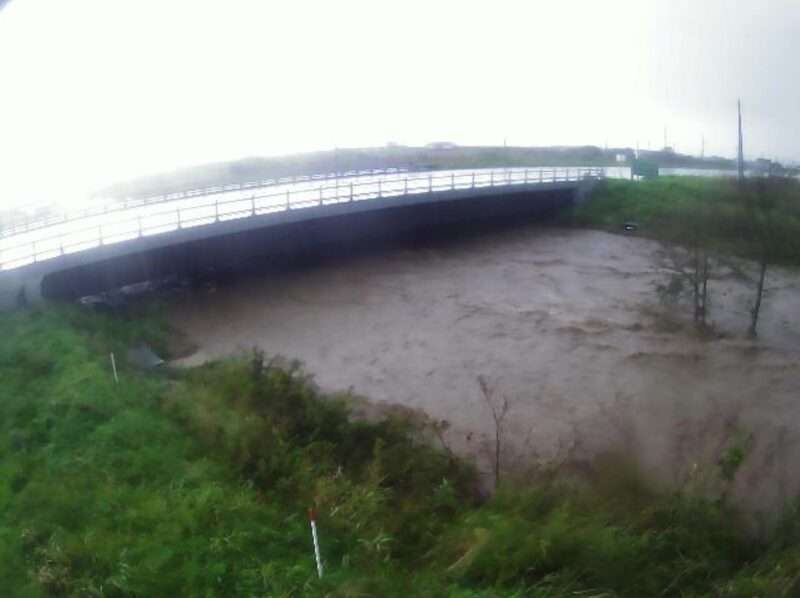 別々川社台ライブカメラ(北海道白老町社台) 2025年10月1日11時50分 大雨時河川増水