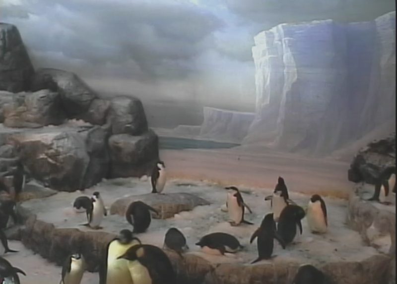 名古屋港水族館ペンギン水槽ライブカメラ(愛知県名古屋市港区)