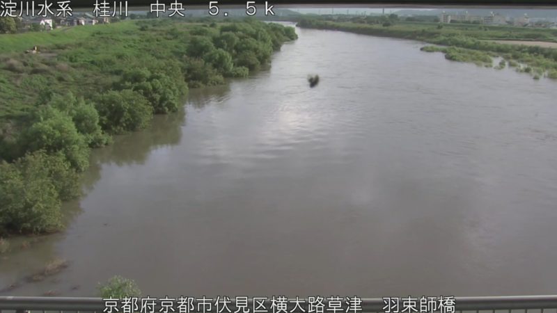 近畿地方整備局桂川羽束師橋ライブカメラ(京都府京都市伏見区)