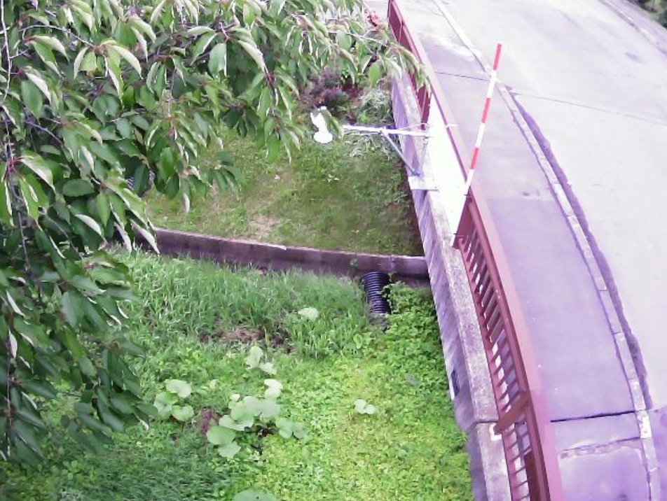 サックシュオルベツ川20.8KPライブカメラ(北海道上士幌町上士幌)