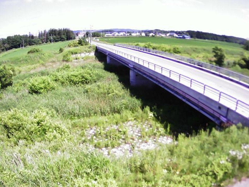 安平川源武橋ライブカメラ(北海道安平町早来源武)