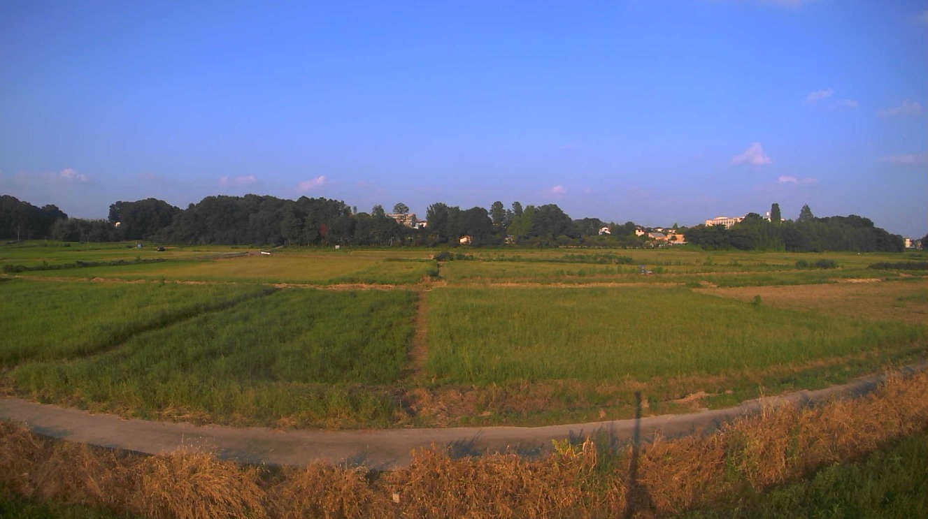 荒川60.8KP左岸ライブカメラ(埼玉県鴻巣市滝馬室)