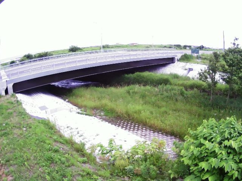 別々川社台ライブカメラ(北海道白老町社台)