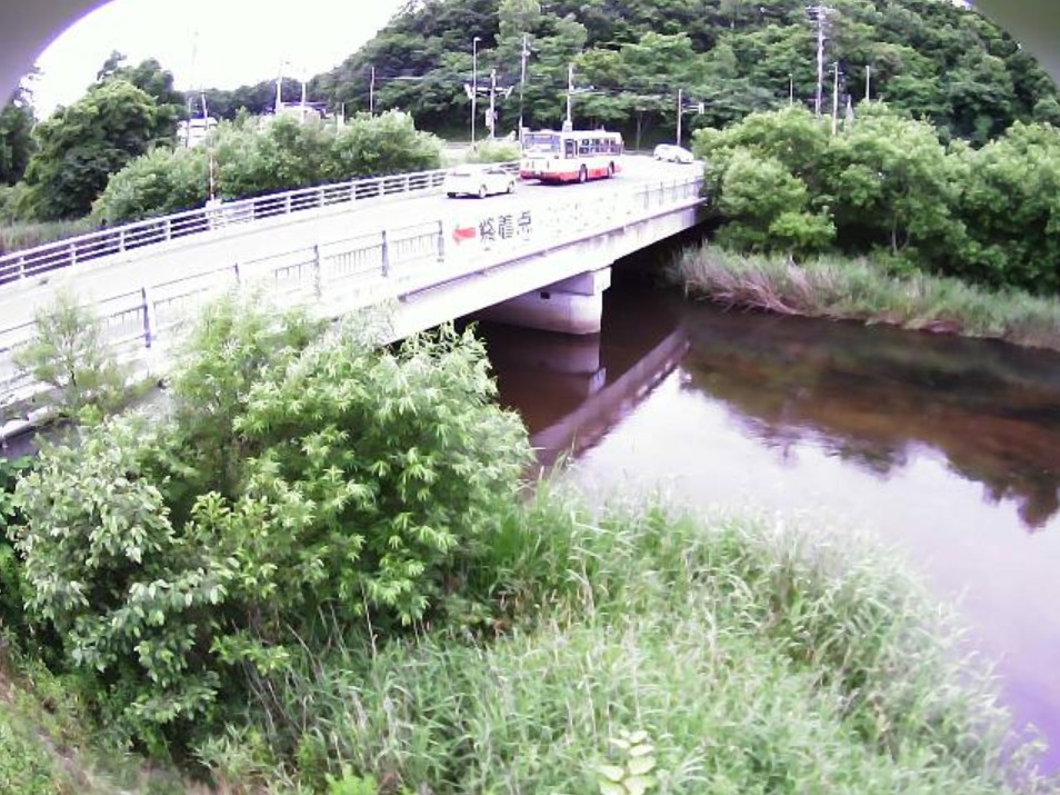 美々川3.5KPライブカメラ(北海道苫小牧市植苗)