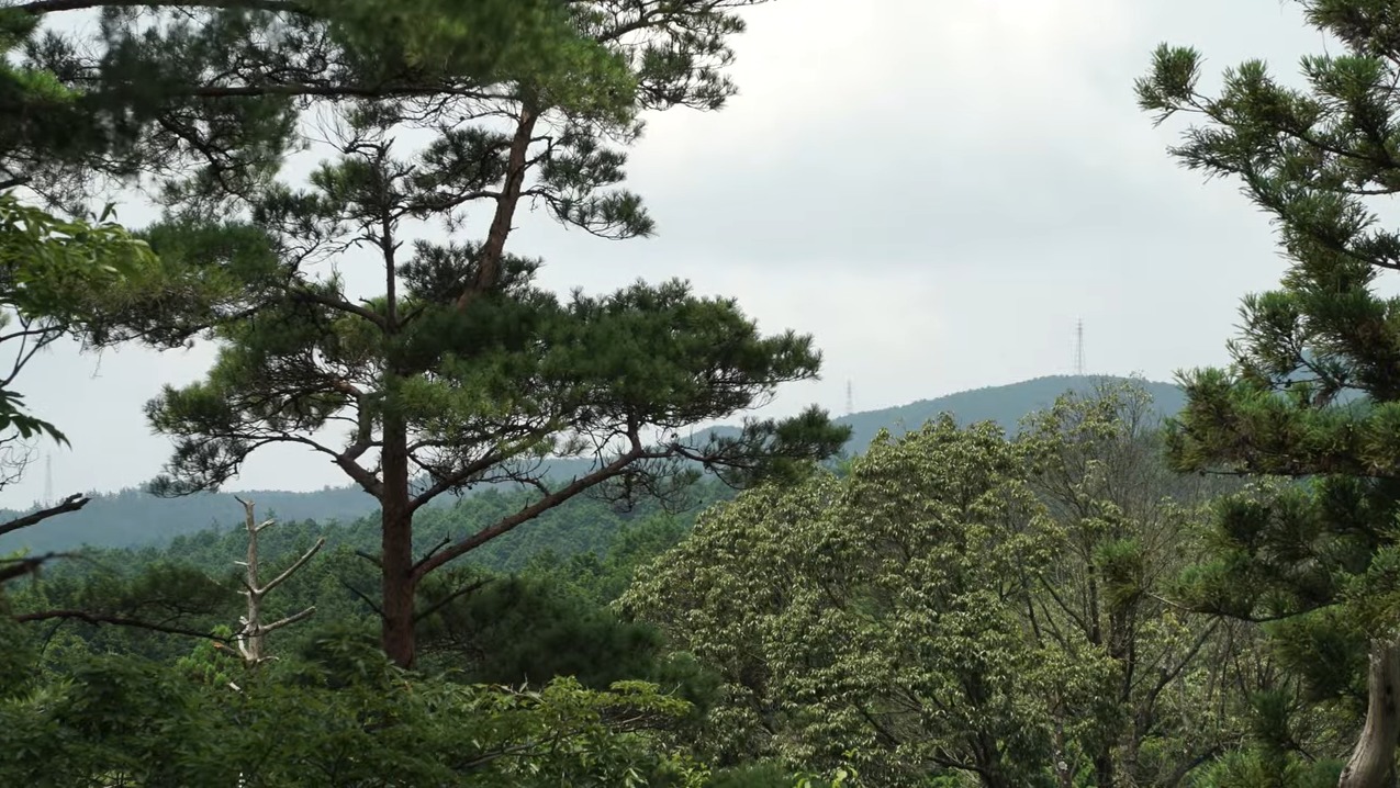津市白山町青山高原方面ライブカメラ(三重県津市白山町)