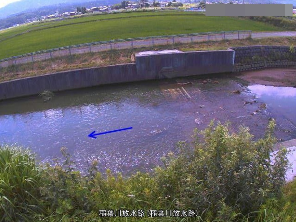 稲葉川稲葉川放水路ライブカメラ(新潟県長岡市川中)